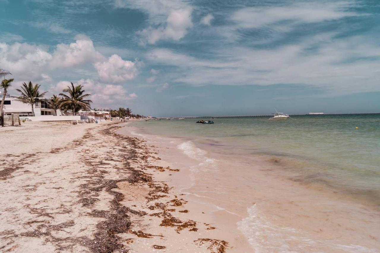 Luxury Condo, The Hidden Gem Playa Chaca. Live It! Progreso  Zewnętrze zdjęcie